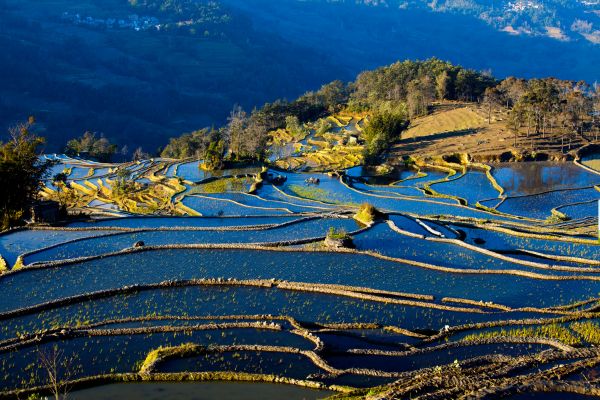 Circuit Yunnan Authentique, Rizières de Yuanyang et Trésors Tibétains - Vols Flex pas cher photo 15