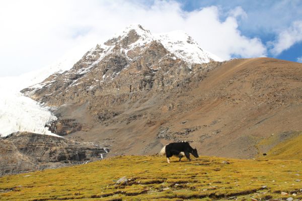 Circuit L'Âme Sacrée du Tibet en Privatif - Vols Flex pas cher photo 4