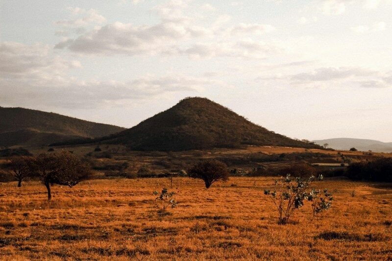 Circuit Jet tours Safari Tsavo East 2J1N et Séjour au Jet Tours Signature Voyager Beach Resort pas cher photo 5