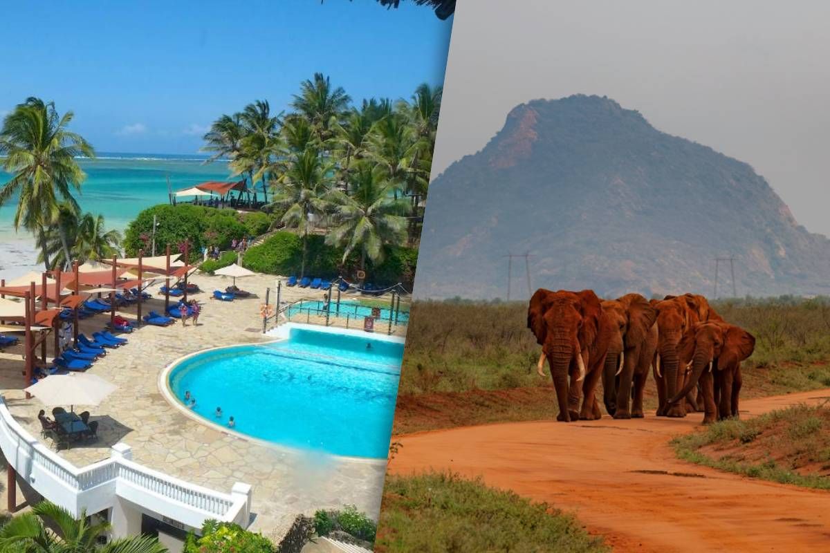 Circuit Jet tours Safari Tsavo East 2J1N et Séjour au Jet tours Signature PrideInn Flamingo Beach Re pas cher photo 2