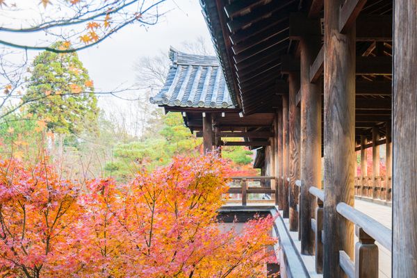 Circuit Japon Ancestral, Immersion Zen et Temples de Shikoku - Vols Flex pas cher photo 23
