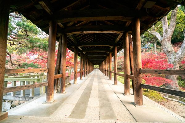 Circuit Japon Ancestral, Immersion Zen et Temples de Shikoku - Vols Flex pas cher photo 25
