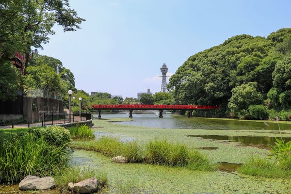 Circuit Japon Ancestral, Immersion Zen et Temples de Shikoku - Vols Flex pas cher photo 43