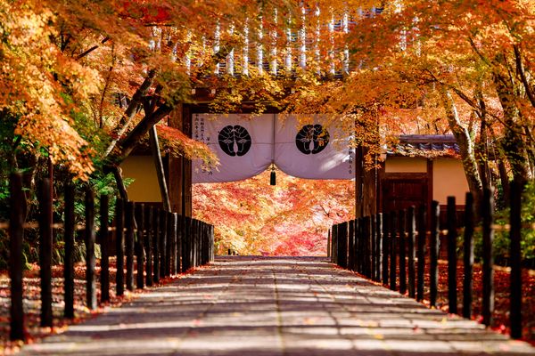 Circuit Japon Ancestral, Immersion Zen et Temples de Shikoku - Vols Flex pas cher photo 18
