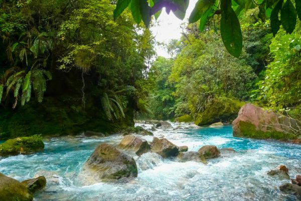 Circuit Autotour Faune & Flore du Costa Rica - Vols Flex pas cher photo 7