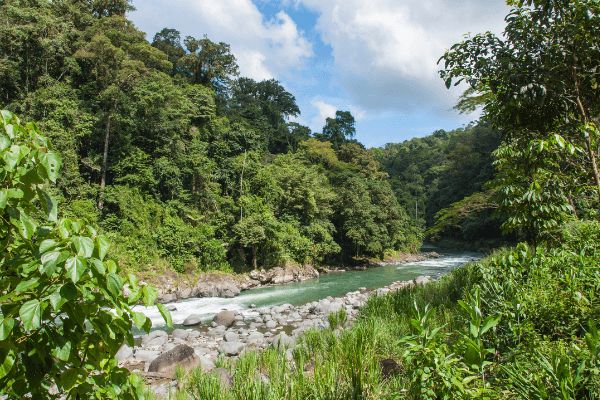 Circuit Autotour Faune & Flore du Costa Rica - Vols Flex pas cher photo 18