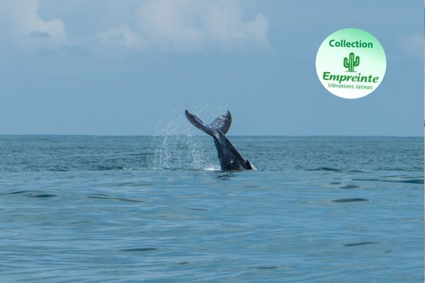 Circuit Autotour Faune & Flore du Costa Rica - Vols Flex pas cher photo 1