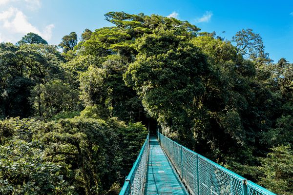 Circuit Costa Rica en Liberté : Au Paradis Sauvage 3* - Vols Flex pas cher photo 15
