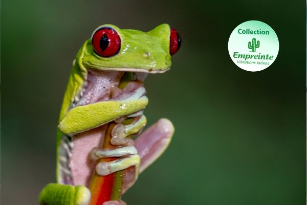 Circuit Le Costa Rica en Liberté, entre Faune Sauvage et Mangroves - Vols Flex pas cher photo 1