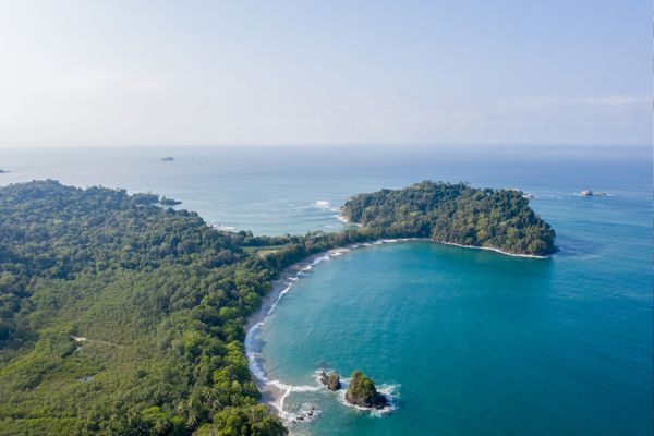 Circuit Safari au Pays de l'Or Noir et plage de Manuel Antonio 3* - Vols Flex pas cher photo 22