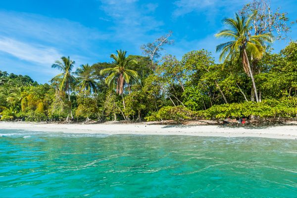 Circuit Safari au Pays de l'Or Noir et plage de Manuel Antonio 3* - Vols Flex pas cher photo 25