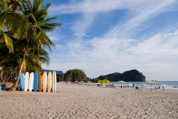 Circuit Safari au Pays de l'Or Noir et plage de Manuel Antonio 3* - Vols Flex pas cher photo 26