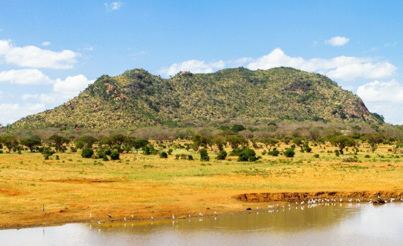Circuit Jet tours Safari Tsavo East et Taita Hills 2N et Séjour au Jet tours Signature PrideInn Flam pas cher photo 3