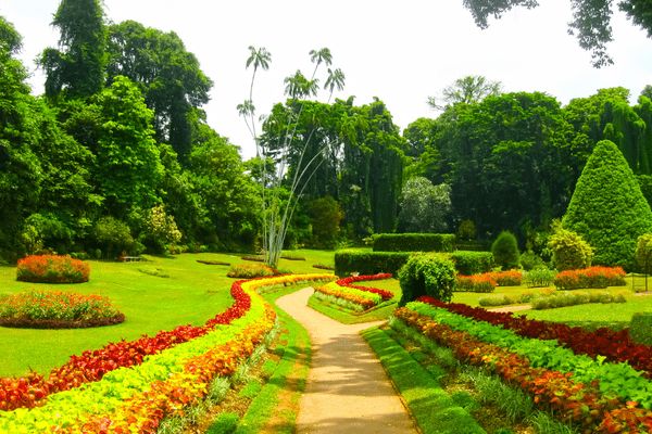 Circuit Des Merveilles du Sri Lanka aux plages du sud 4* en Privatif pas cher photo 13