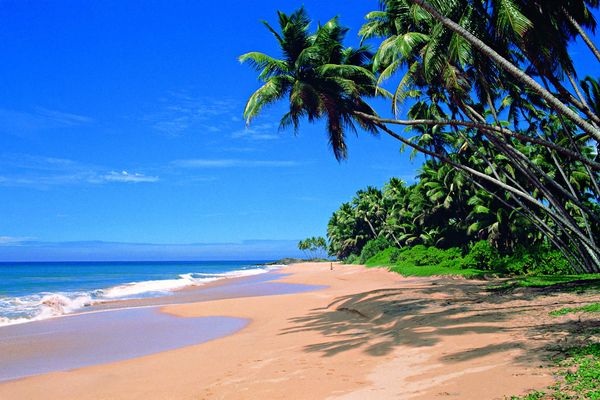 Circuit Des Merveilles du Sri Lanka aux plages du sud 4* en Privatif pas cher photo 14