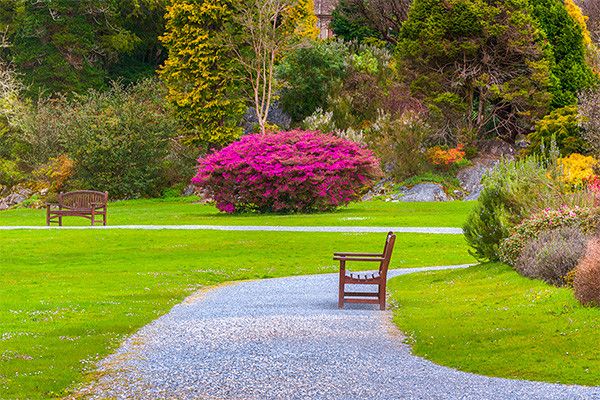 Autotour L'Irlande en liberté 3* ou B&B pas cher photo 18