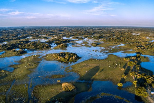 Circuit Baianas et Cariocas, Trésors du Brésil et du Pantanal pas cher photo 25