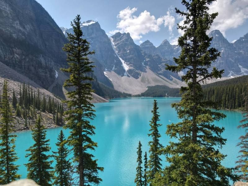 La Quintessence De L'Est Canadien pas cher photo 4