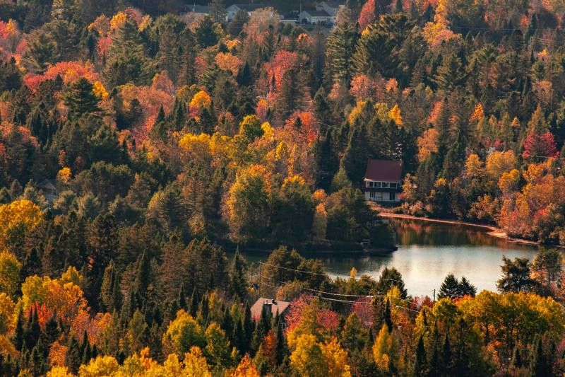 La Quintessence De L'Est Canadien pas cher photo 6