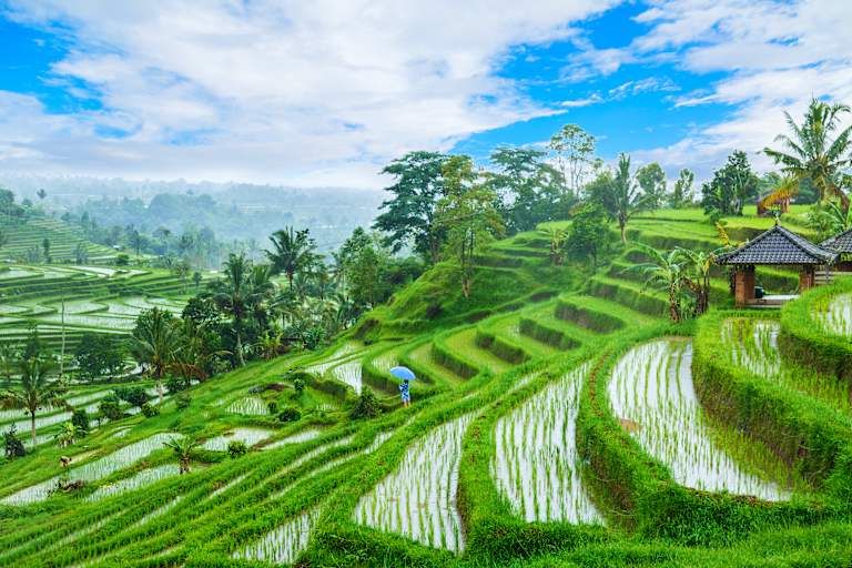 Des volcans de Java aux rizières de Bali pas cher photo 17