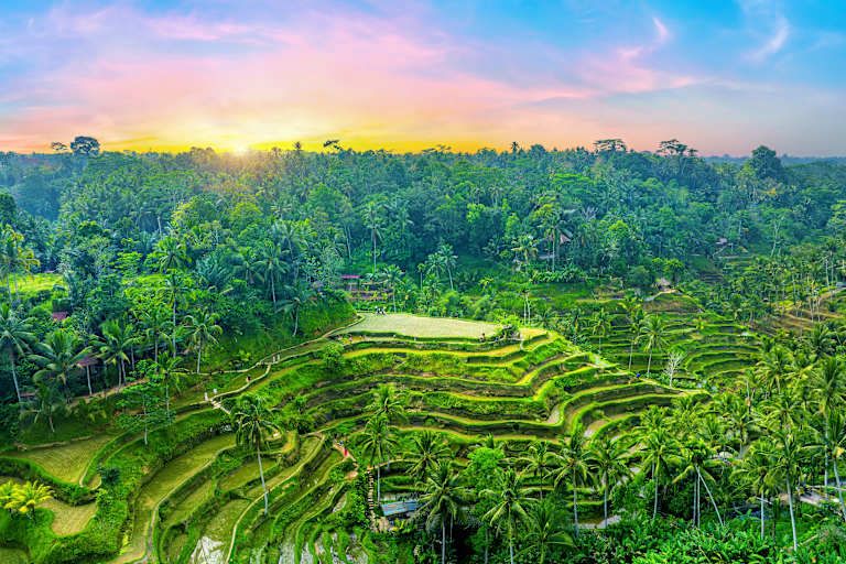 Des volcans de Java aux rizières de Bali pas cher photo 20