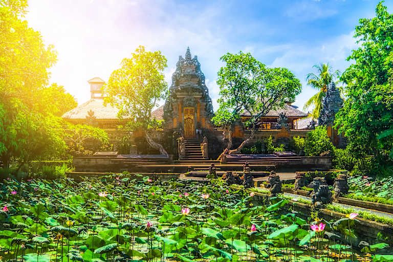Des volcans de Java aux rizières de Bali pas cher photo 21