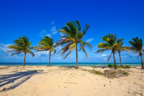 Circuit Des Terres Sauvages au lagon de Diani Beach pas cher photo 9