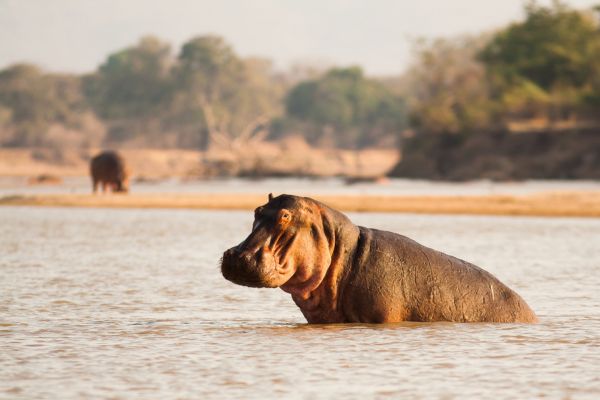 Circuit Lumières de la Savane Africaine - Vols Flex pas cher photo 13