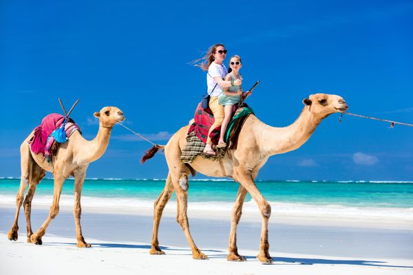 Circuit Safari Jambo en Privatif et plage en tout compris - Vols Flex pas cher photo 5