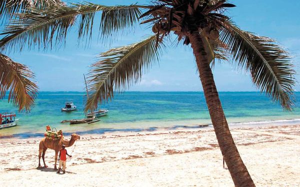 Circuit Safari Jambo en Privatif et plage en tout compris - Vols Flex pas cher photo 15
