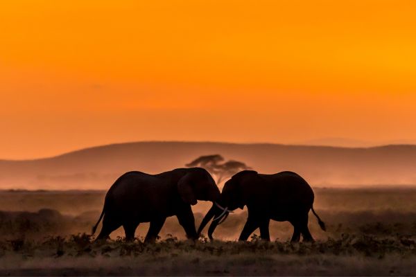 Circuit Aux Rythmes de la Savane Africaine et plage Tropicale - Vols Flex pas cher photo 5