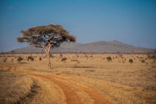Circuit Aux Rythmes de la Savane Africaine et plage Tropicale - Vols Flex pas cher photo 6