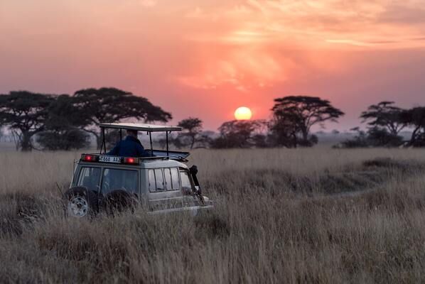 Circuit Safari Hakuna Matata en Privatif - Vols Flex pas cher photo 18