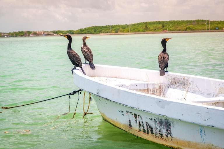 Autotour découverte du Yucatan et extension balnéaire à Playa del Carmen pas cher photo 8