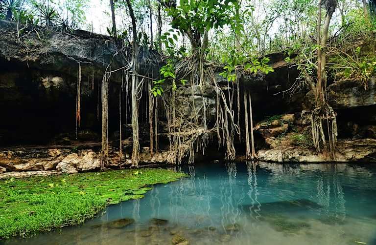 Autotour découverte du Yucatan et extension balnéaire à Playa del Carmen pas cher photo 18