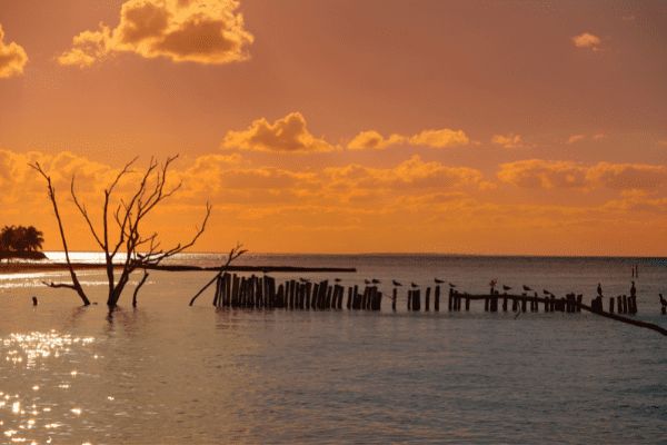 Circuit Autotour, de la Lagune de Bacalar à l'île d'Holbox - Vols Flex pas cher photo 18