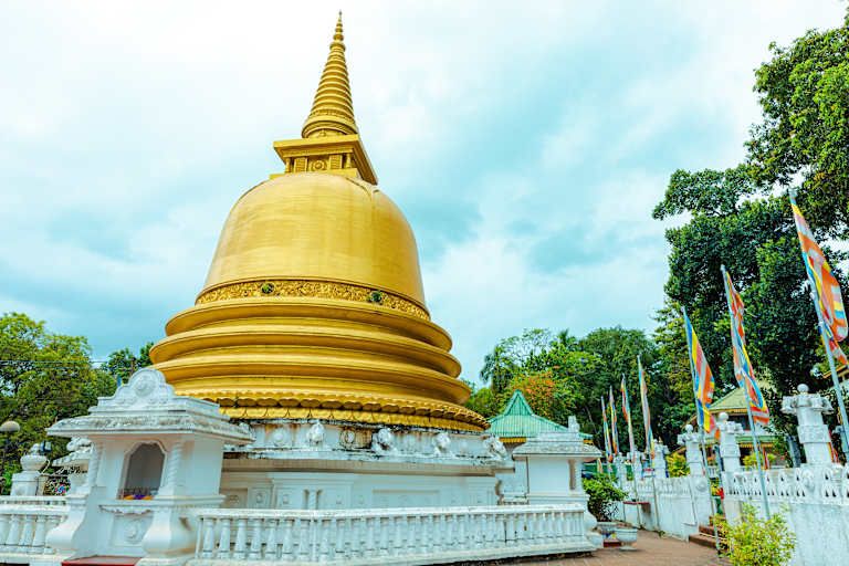 Les incontournables du Sri Lanka - 4* pas cher photo 3