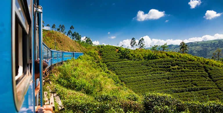 Les incontournables du Sri Lanka - 4* pas cher photo 14
