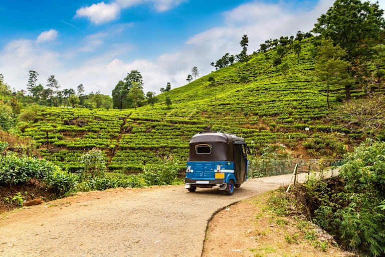Les incontournables du Sri Lanka - 4* pas cher photo 15