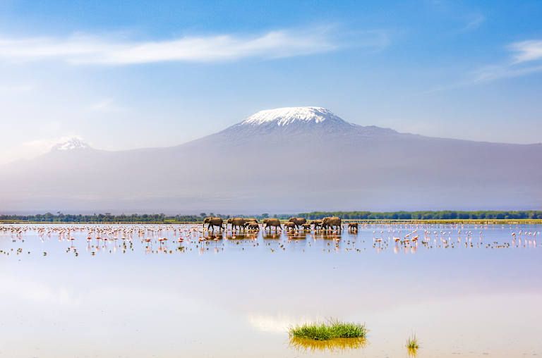 Safaris en Afrique entre la Tanzanie et le Kenya - 3* pas cher photo 4