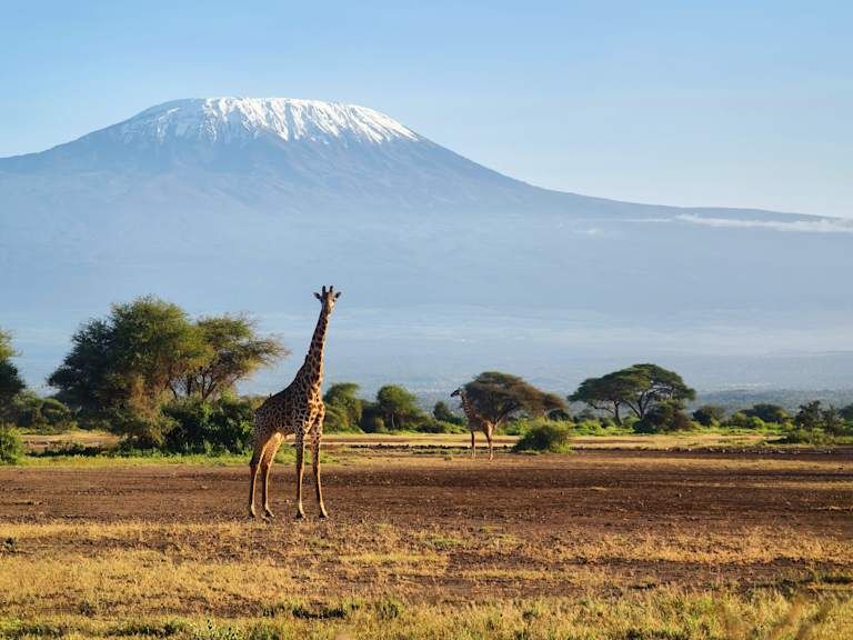 Safaris en Afrique entre la Tanzanie et le Kenya - 3* pas cher photo 7