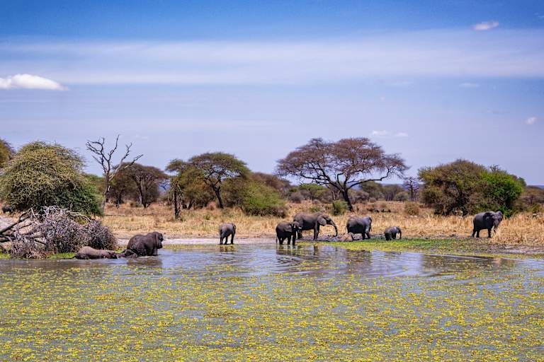 Safaris en Afrique entre la Tanzanie et le Kenya - 3* pas cher photo 11