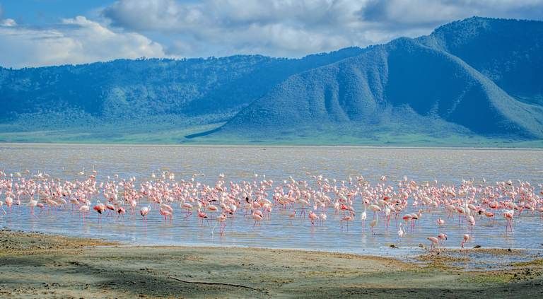 Safaris en Afrique entre la Tanzanie et le Kenya - 3* pas cher photo 12