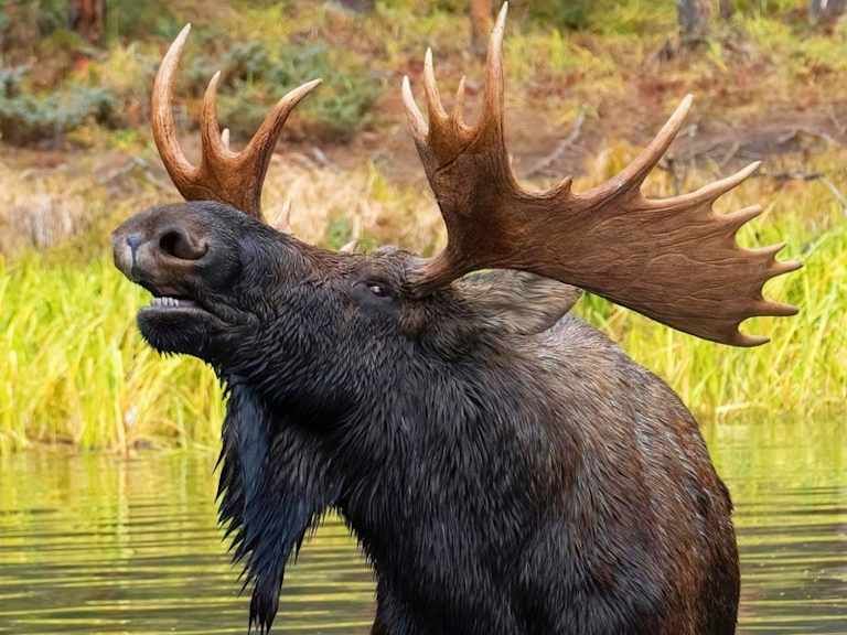 Circuit Dans l'Est Canadien : Sentiers, Lacs et Forêts pas cher photo 10