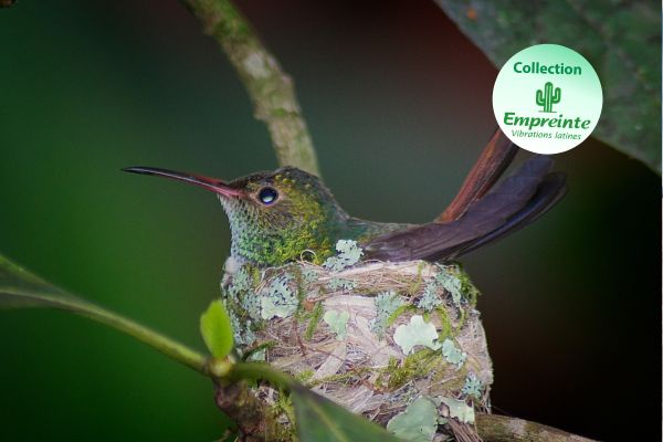 Circuit Aventure Tropicale du Costa Rica au Panama - Vols Flex pas cher