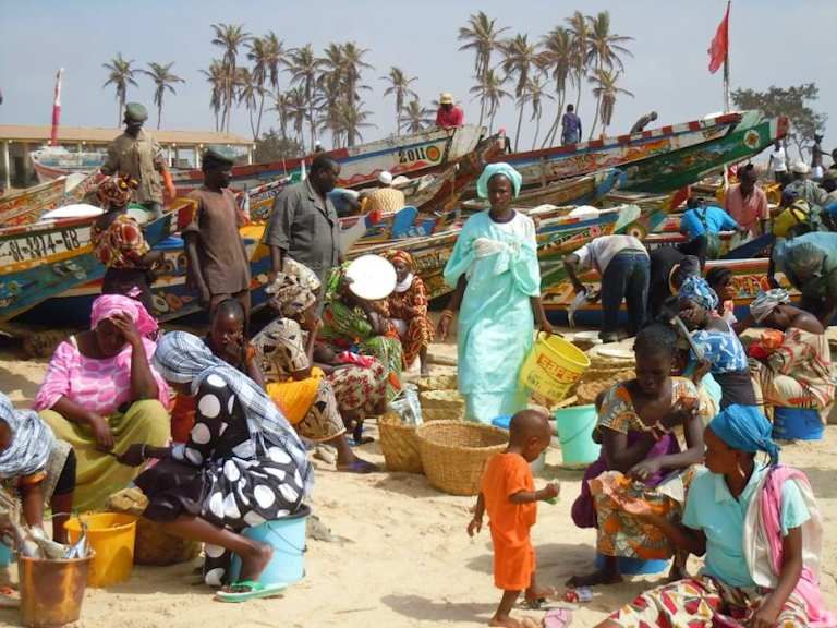 Découverte du Senegal - 3* pas cher photo 6