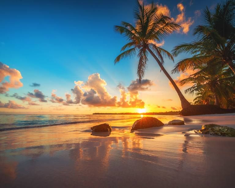 L'essentiel de la République Dominicaine - 5* pas cher photo 1