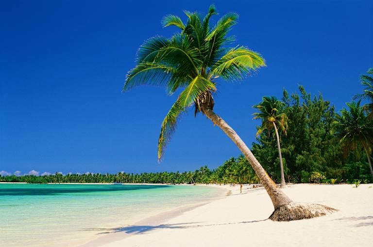 L'essentiel de la République Dominicaine - 5* pas cher photo 2
