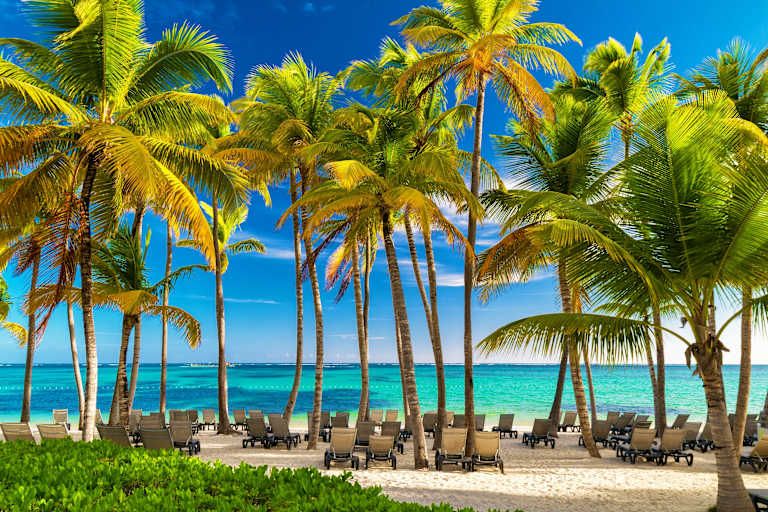 L'essentiel de la République Dominicaine - 5* pas cher photo 7