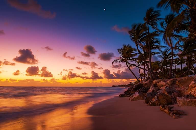 L'essentiel de la République Dominicaine - 5* pas cher photo 15